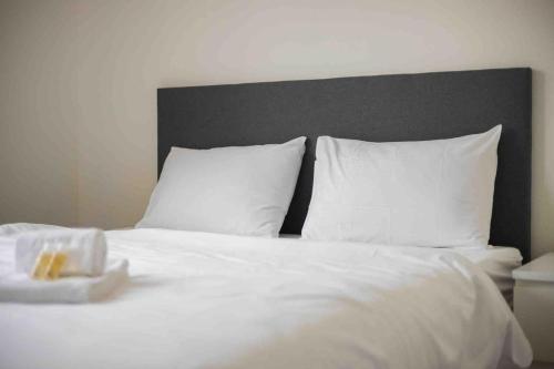 Urban Oasis with Queen Bed and View BE-33, Curych (fotografie 6)