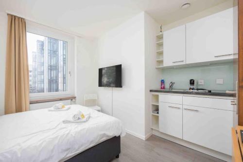 Urban Oasis with Queen Bed and View BE-12, Zurich (photo 3)
