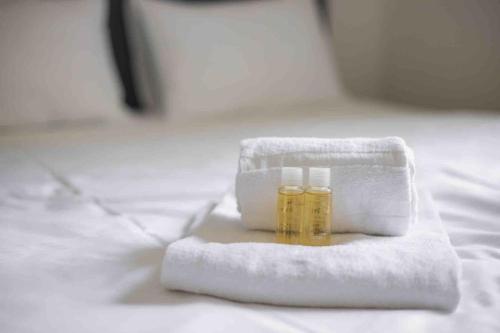 Urban Oasis with Queen Bed and View BE-12, Zurich (photo 6)