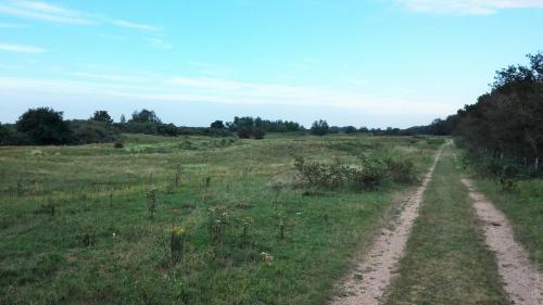 Het Duinhuisje - image 13