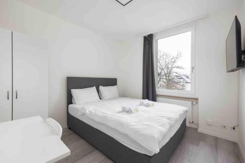 Urban Oasis with Queen Bed and View BE-22, Zürich (Foto 6)
