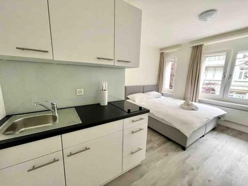 Urban Oasis with Queen Bed and View BE-14, Curych (fotografie 3)