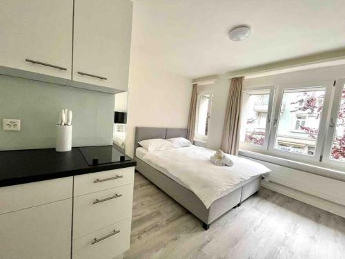 Urban Oasis with Queen Bed and View BE-14, Curych (fotografie 4)