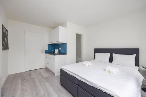 Urban Oasis with Queen Bed and View BE-24, Zurych (zdjęcie 3)