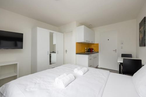 Downtown Deluxe Studio with Queen Bed BE-55, Zürich (photo 3)
