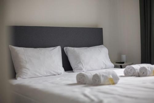 Downtown Deluxe Studio with Queen Bed BE-55, Zürich (photo 8)