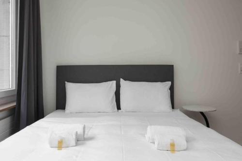 Urban Oasis with Queen Bed and View BE-28, Zurigo (foto 2)