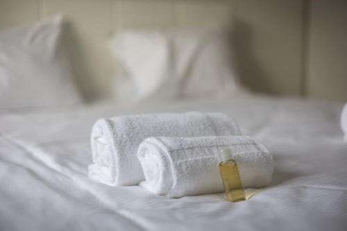 Grand Terrace Suite Elite 4,5BR BA52, Zürich (photo 10)