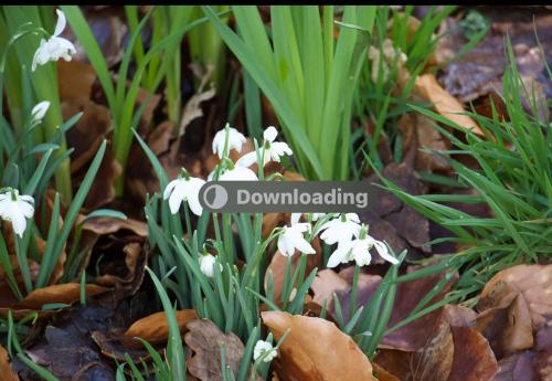 Creekside Lodge Bathpool Launceston Cornwall Creekside Lodge Bathpool Launceston Cornwall