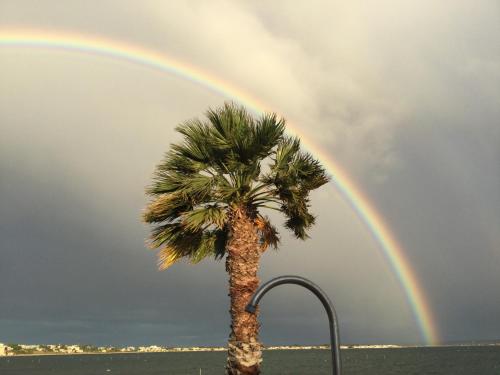 Les Pieds Dans L Eau – Sete, FL