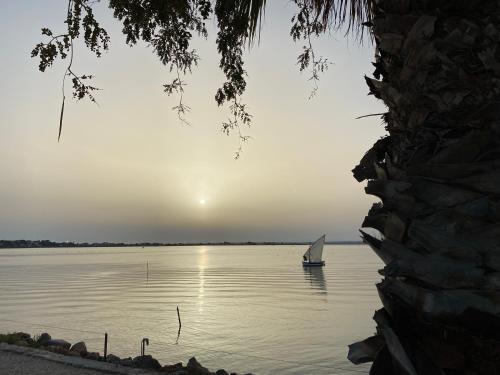 Les Pieds Dans L Eau – Sete, FL