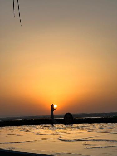 Les Pieds Dans L Eau – Sete, FL