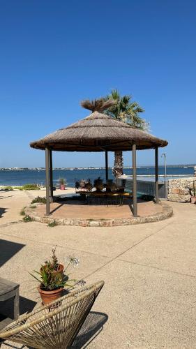 Les pieds dans l’eau - Chambre d'hôtes - Sète