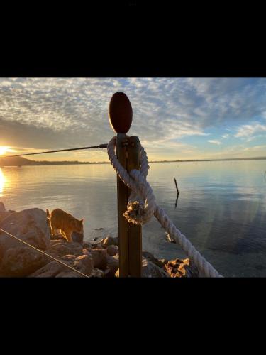 Les Pieds Dans L Eau – Sete, FL