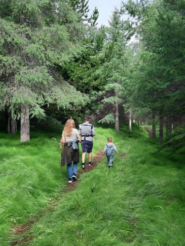 Móðir Jörð Organic Farm Guesthouse in Vallanes
