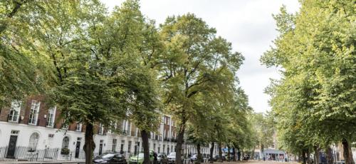 London Chelsea Big 2 People Studio Apartment - image 8