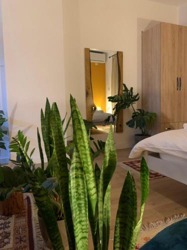 Vibe Studio Apartment, Tirana (photo 10)