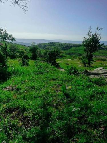 شقة سيلا, Irbid (zdjęcie 10)