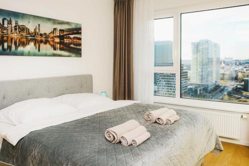 SAG 20th floor Klingerka residence castle view Free parking Free wifi, Bratislava (fotografie 2)