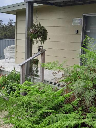 Coola studio in Mallacoota