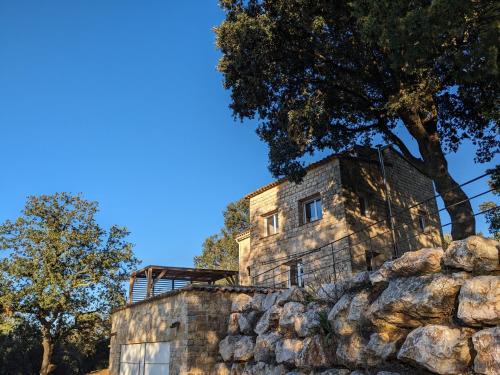 Le grand chêne vert - Bagnols-sur-Cèze