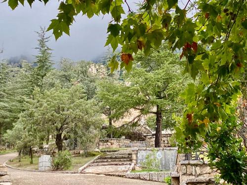 Magnífico Castillo privado, elevado en la roca