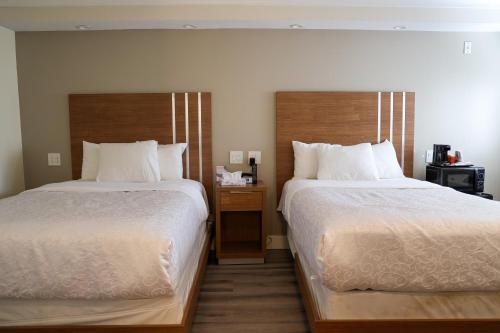 Standard Double Room image 5