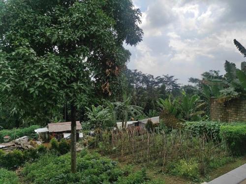 Villa BNA Curug Nangka Taman Sari Bogor