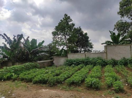 Villa BNA Curug Nangka Taman Sari Bogor