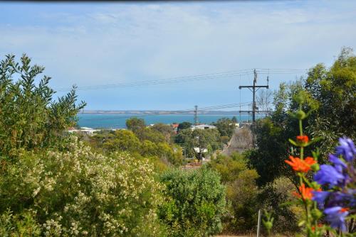 Jacks Kangaroo Island