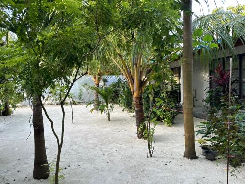 Boli Villa Thoddoo Boli Villa Thoddoo