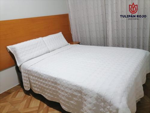 Hostal Tulipán Rojo