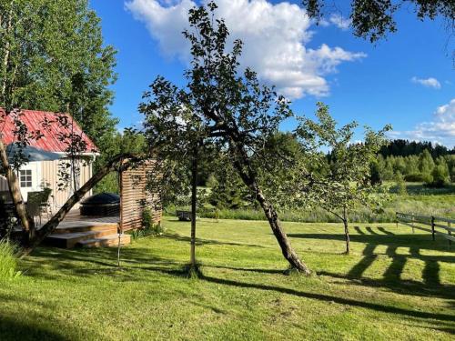 Romantic cottage with sauna