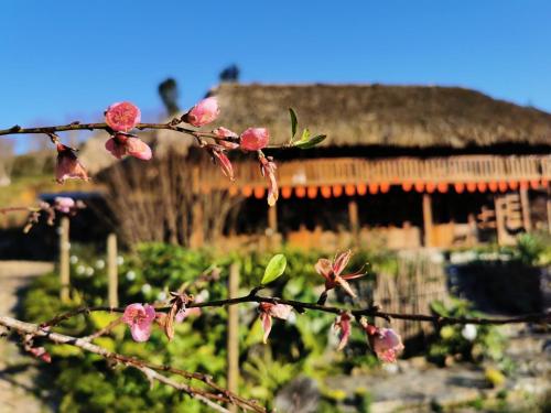 Lagom Bắc Hà Farmstay