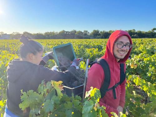 CHAI MARGAUX. Maison 6 pers au coeur des Châteaux