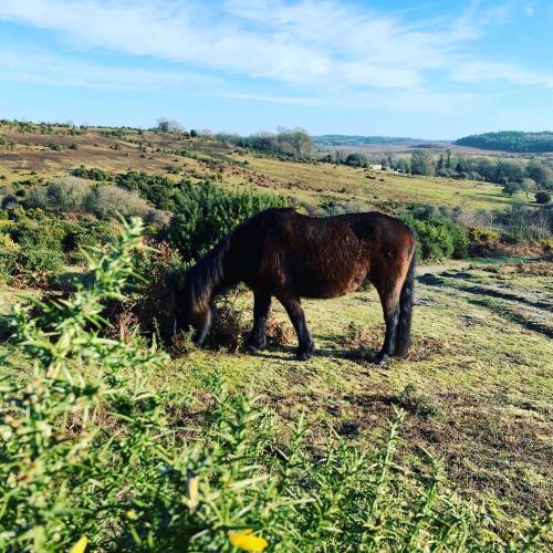 Belle Vue Farm B&B