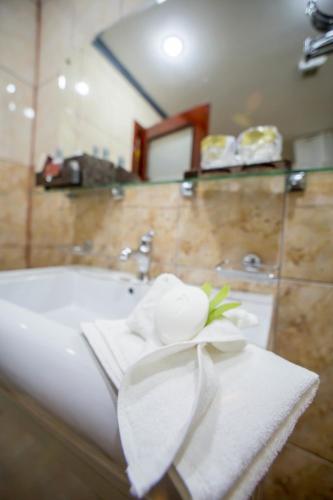 Bucharest Comfort Suites Hotel - image 10