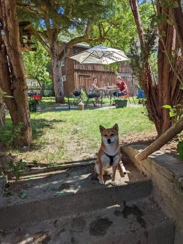 Urlaubsmagie - Ferienwohnung Talruhe - Garten mit Terrasse & Saisonaler Pool - H5, Sebnitz (foto 9)