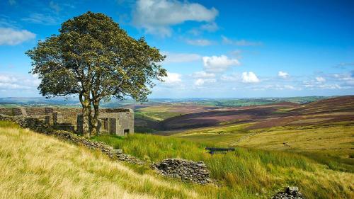 The Yorkshire Hosts - The Water Mill