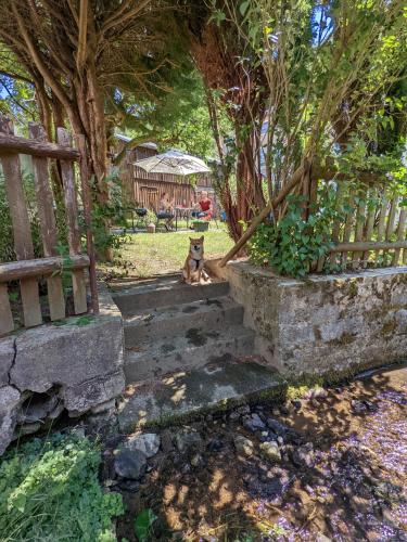 Urlaubsmagie - Ferienwohnung Tagpfauenauge - Garten mit Terrasse & Saisonaler Pool - H1, Sebnitz (foto 8)