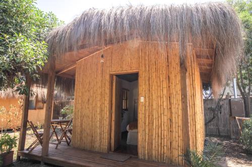 El Arbol Eco Lodge in 拉塞雷纳