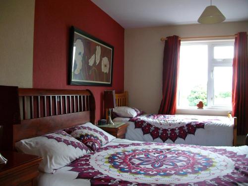 Clonmacnoise B&B - image 5