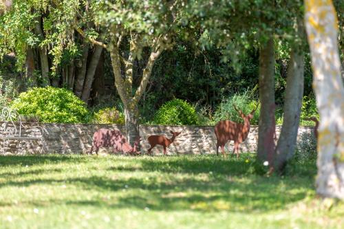 Agriturismo La Valle A Polvereto