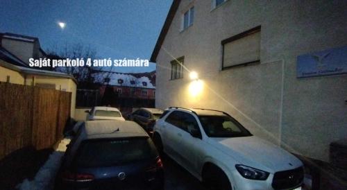  Steinadler Apartments Quiet Location Garden, Private Parking Pet Friendly in Murau