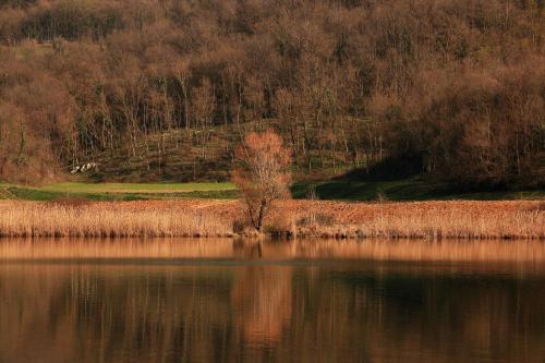 Fattoria Le Vegre - image 11
