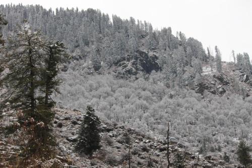 Nomind Vibe, Lapas Village ,Parvati Valley Nomind Vibe, Lapas Village ,Parvati Valley