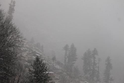 Nomind Vibe, Lapas Village ,Parvati Valley Nomind Vibe, Lapas Village ,Parvati Valley