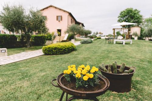  Tenuta Marchesi Fezia in Narni