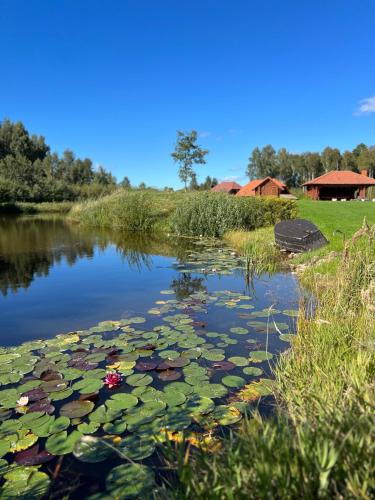 Kundziņu salas