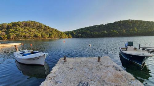 Apartmani Pjevalo-Mljet